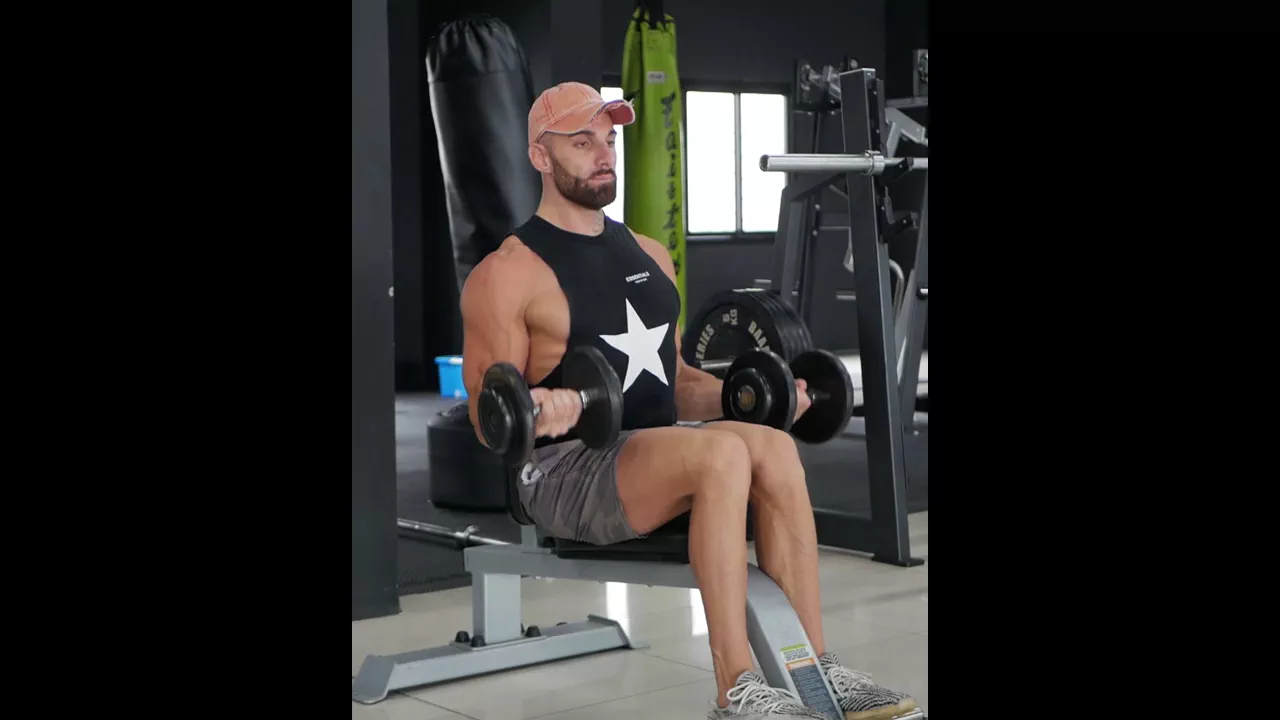 Seated Dumbbell Curl exercise