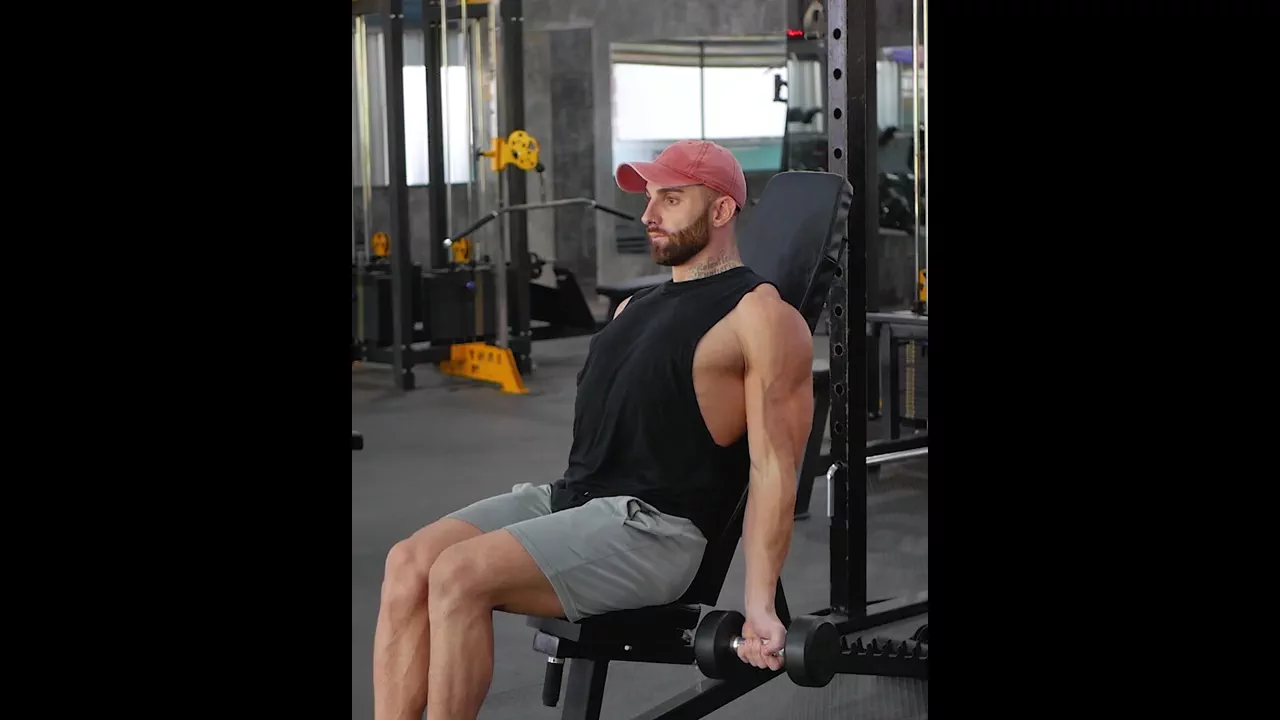 Incline Bench Seated Dumbbell Curl exercise