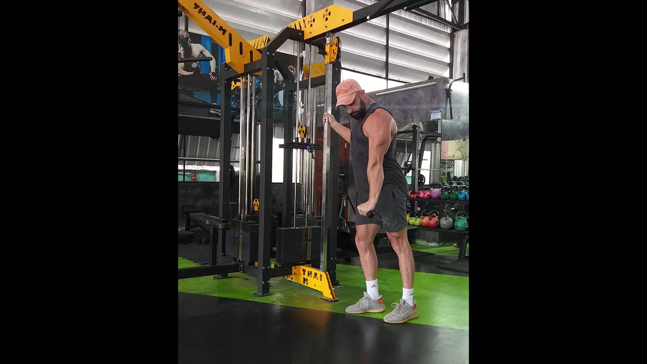 Cable Triceps Pressdown Single Arm exercise