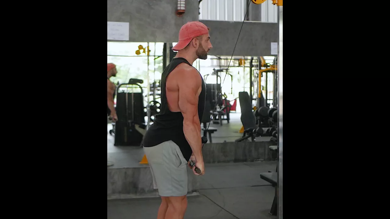 Triceps Pushdown exercise